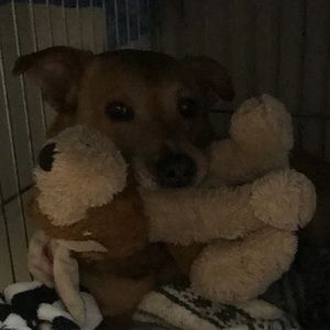 Meet your Posher, Kathryn